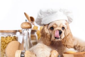 Can Dogs Eat Pasta Safely