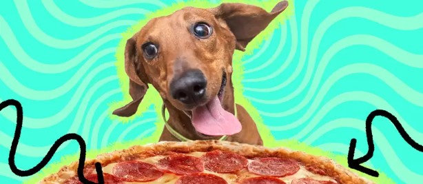 Can Dogs Eat Pepperoni