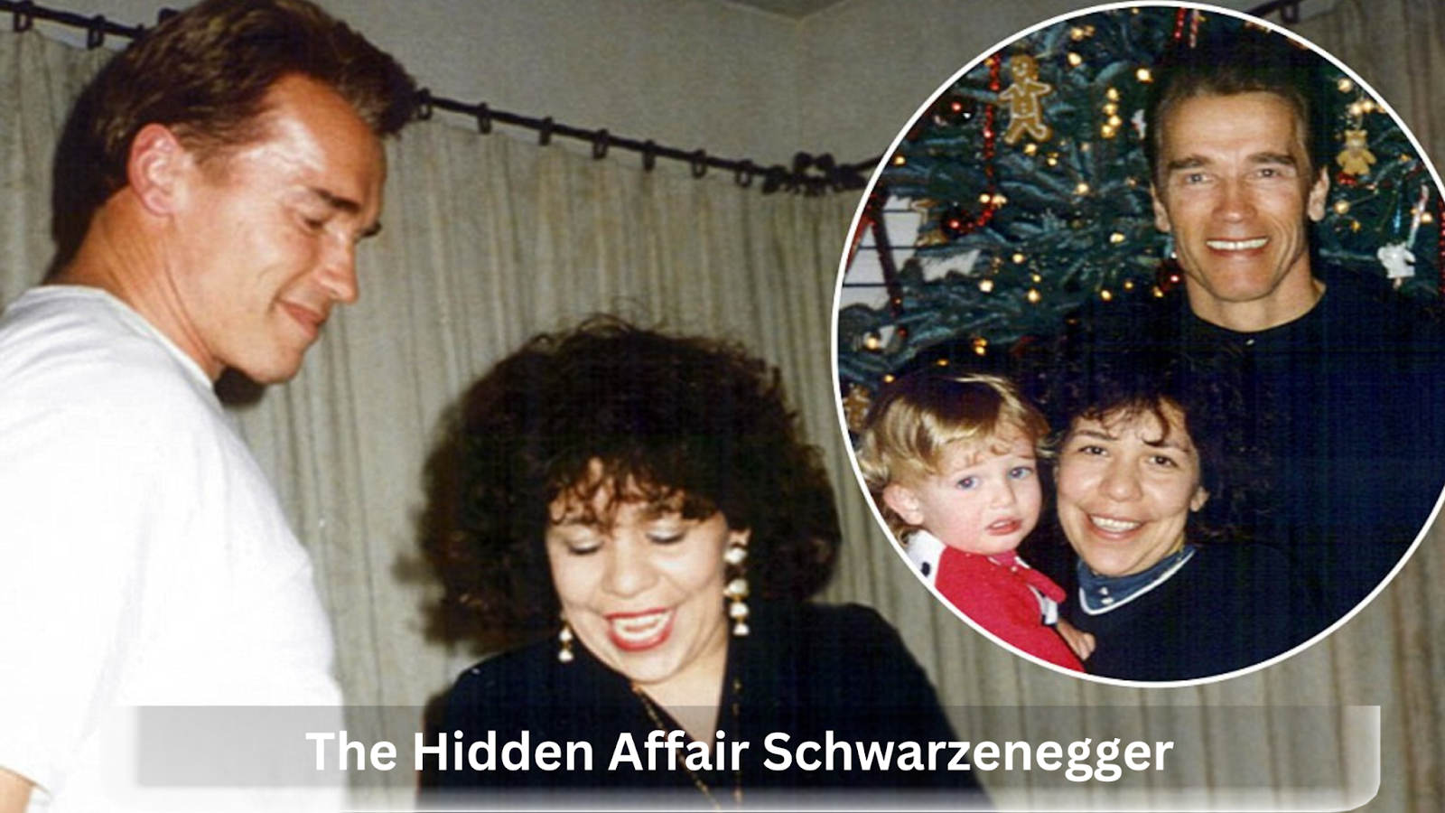 Mildred Baena Hidden Affair Schwarzenegger