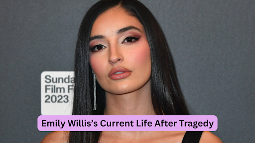emily willis net worth