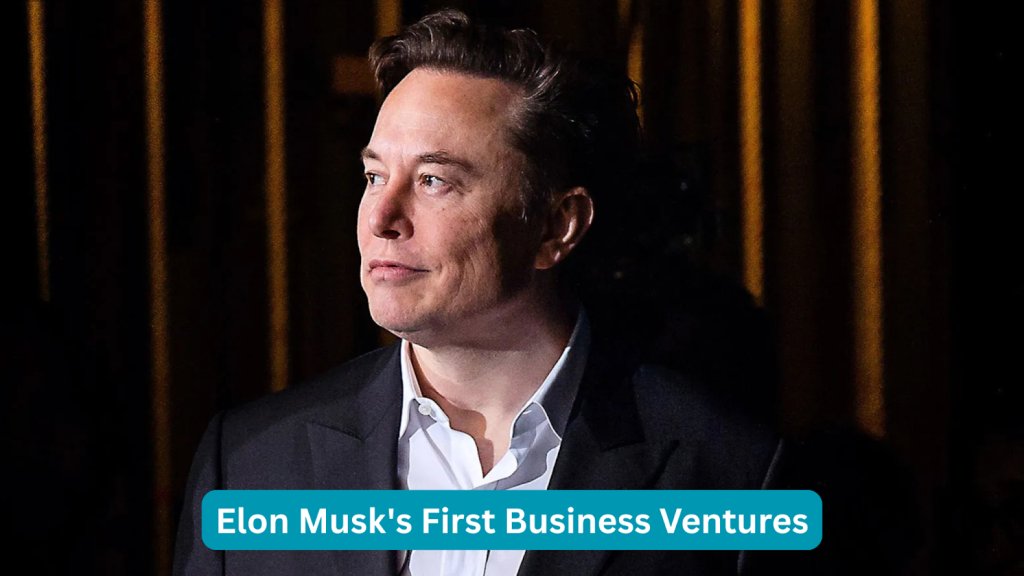 elon musk net worth
