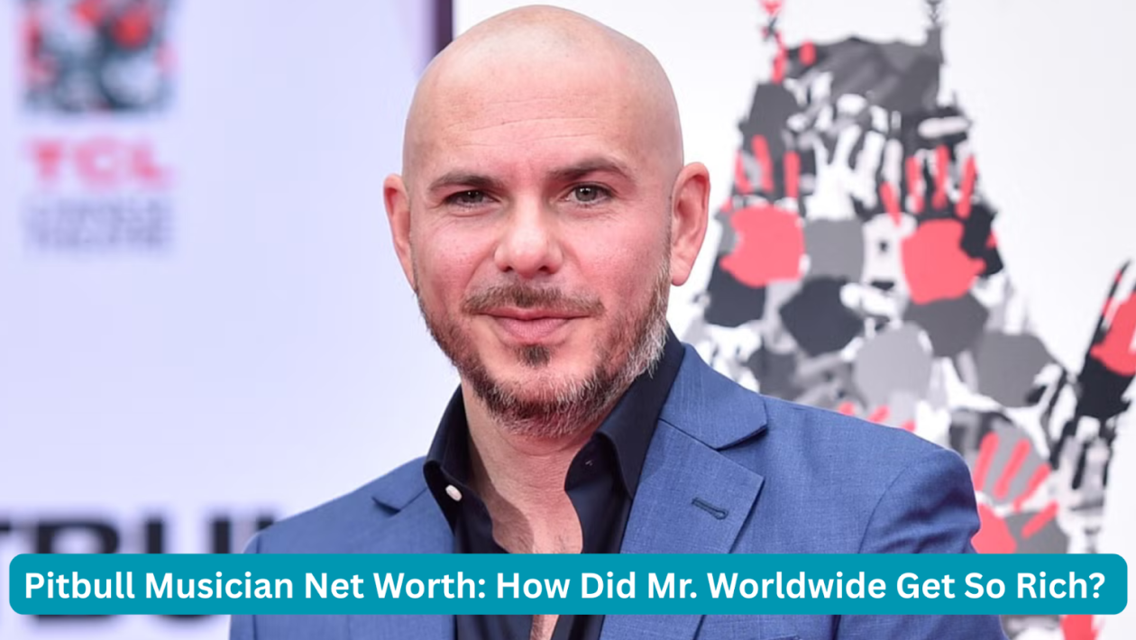 pitbull musician net worth